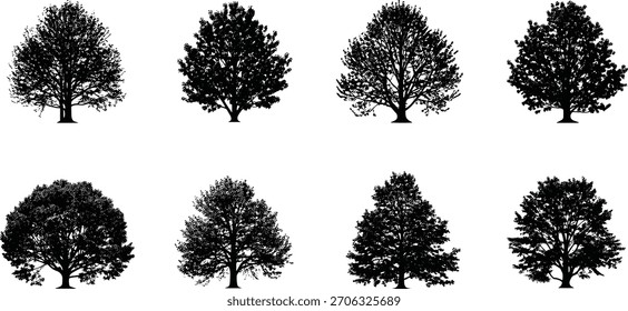 Deciduous tree silhouettes, foliage styles, black trees, nature graphics, forest elements, botanical icons, landscape design, minimal art, outdoor set