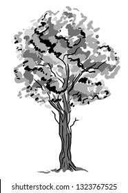 Deciduous tree sketch. Black contour isolated on white background. Simple art. Can be used for card banner template. Vector illustration.