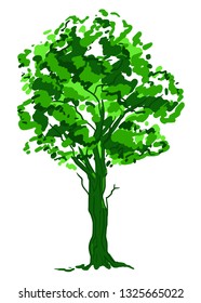 Deciduous tree sketch. Green contour isolated on white background. Simple art. Can be used for card banner template. Vector illustration