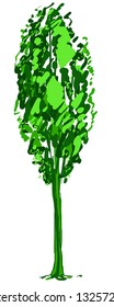 Deciduous tree sketch. Green contour isolated on white background. Simple art. Can be used for card banner template. Vector illustration.
