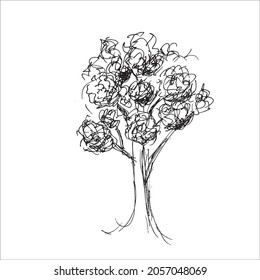 deciduous tree. sketch for landscape design.