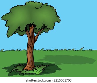 Deciduous Tree Standing in the Grass - Colored Cartoon Illustration with Background, Vector