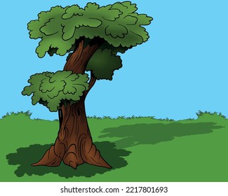 Deciduous Tree with Three Leafy Crowns - Colored Cartoon Illustration with Background, Vector