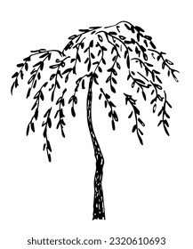 Deciduous tree weeping willow. Bent branches in the wind. Simple black outline vector drawing. Nature and vegetation. Sketch in ink.