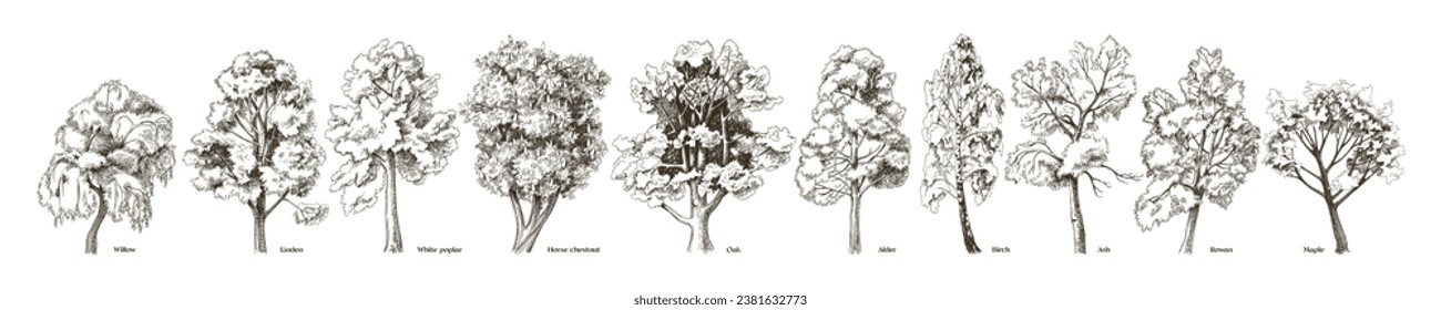 Deciduous trees collection in retro style