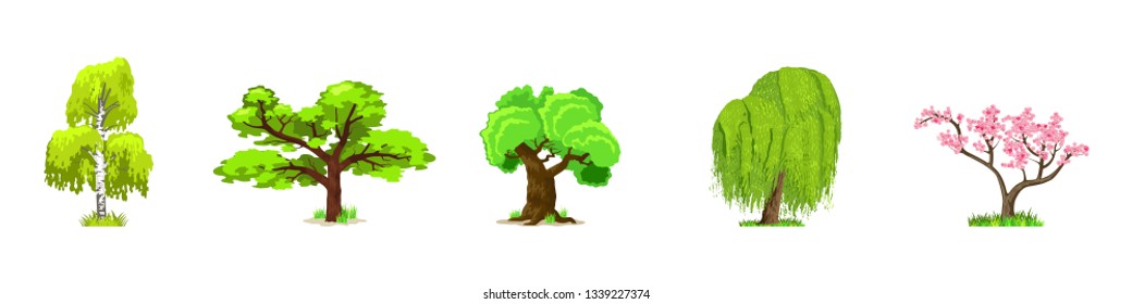 Deciduous trees in four seasons - spring, summer, autumn, winter. Nature and ecology. Natural object for landscape design or park. Cartoon style. Green trees illustration Isolated on white background.