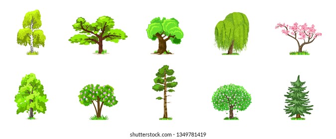 Deciduous trees in four seasons - spring, summer, autumn, winter. Nature and ecology. Natural object for landscape design or park. Cartoon style. Green trees illustration Isolated on white background.