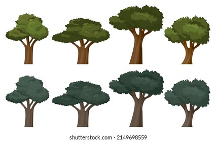 Deciduous trees of various sizes. Day and night. Flat design. Isolated on white background.