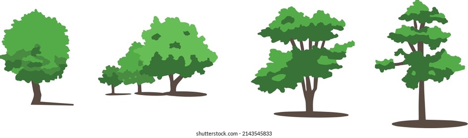 Deciduous trees vectors for illustration