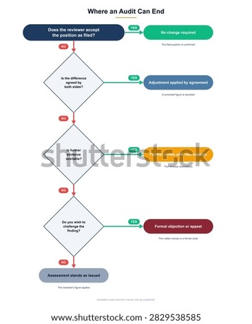Decision tree opening with whether the reviewer accepts the position as filed, then testing agreement and further evidence, ending in no change, an agreed adjustment or a formal objection.