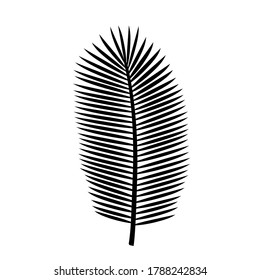 Deckenia black silhouette palm leaf. vector icon