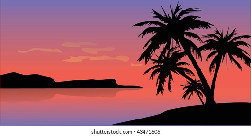 Decline on island with palm trees