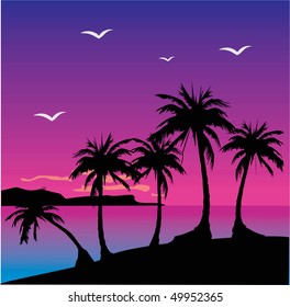Decline on island with palm trees