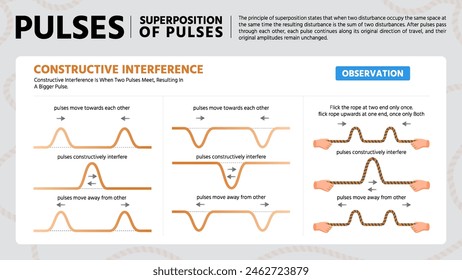 Decoding Pulse Signals-A Visual Guide to Constructive Interference Vector Infographics