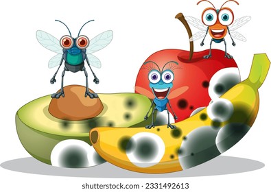 Decompose fruit and fly illustration
