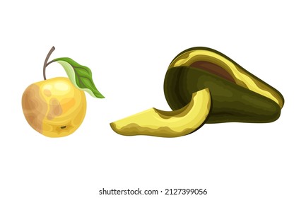 Decomposed Stinky Rotten Fruit with Avocado and Apple Having Bad Spots Vector Set