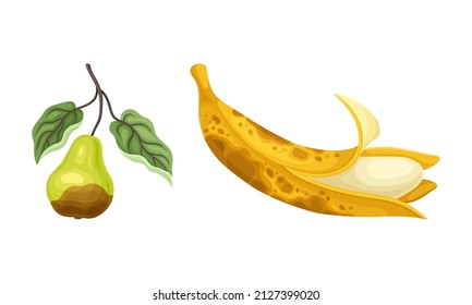 Decomposed Stinky Rotten Fruit with Pear and Banana Having Bad Spots Vector Set