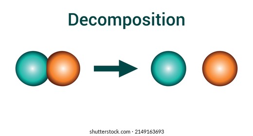 vektor-stok-decomposition-reaction-diagram-vector-illustration-isolated