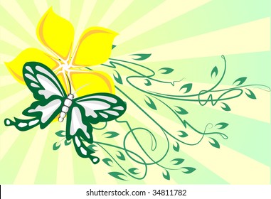 decor with butterfly
