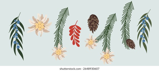 Decor for Christmas Holiday- Edelweiss flowers, Fir brunch, Pine cone.