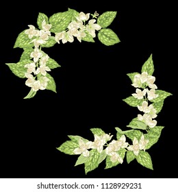 Decor element for frame with jasmine branches with flowers  and leaves in realistic graphic vector illustration
