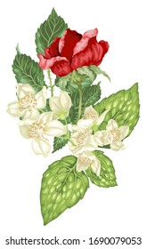 Dekorelement in der grafischen Vektorillustration mit Jasmin- und Rosenblumen