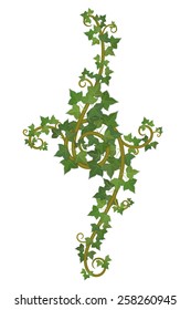 decor of interwoven branches of ivy