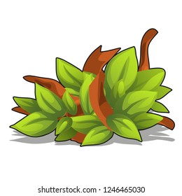 The decor of the leaves of the tree isolated on white background. Vector cartoon close-up illustration.