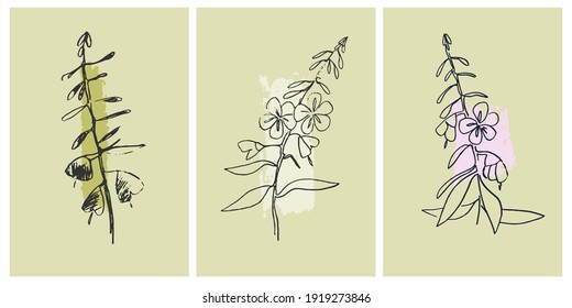 Decor printable art. Set of hand drawn vector illustrations of Chamaenerion flowering plant on abstract backgrounds for home interior design. Contemporary art for prints, posters, cards, textile