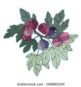 Decoración de arte imprimible. Patrón de bordado. Ilustración vectorial dibujada a mano de frutos de higo en rama