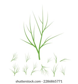 Decorate the dish with dill sprigs. A set of vector icons. Dill is a healthy organic food.