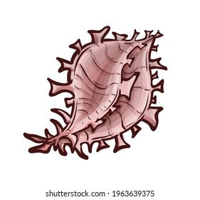 Decorated by many appendages seashell. Marine animal, underwater. Vector illustration in cartoon style, object isolated on white