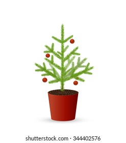 Decorated Christmas tree growing in red bucket on white background, save the Christmas tree, vector