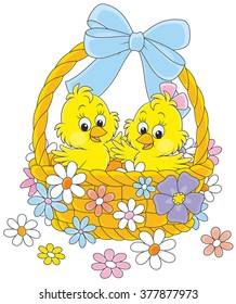 Decorated Easter basket with two yellow chicks