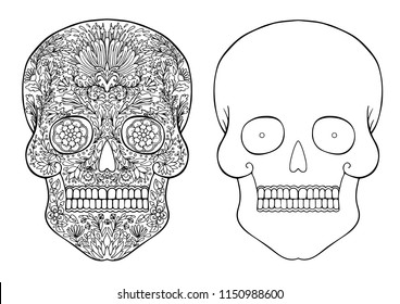 decorated with flowers skull and skull contour for drawing