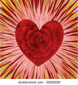 The decorated heart