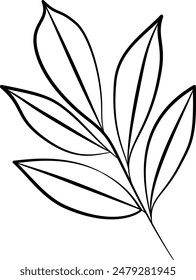 Decorated leaves branches outline. Illustrated leaves branches icon line art graphic element.
