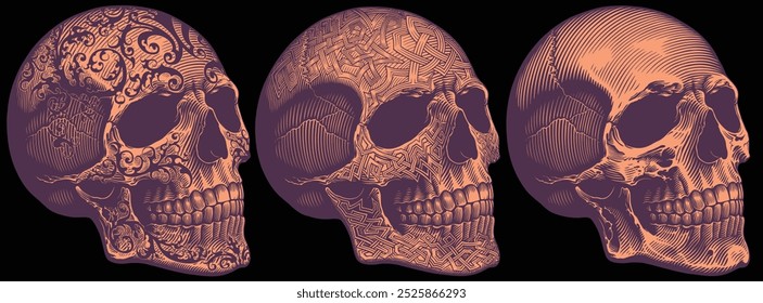 Decorated skulls. Design set. Editable hand drawn illustration. Vector vintage engraving. Isolated on black background. 8 EPS