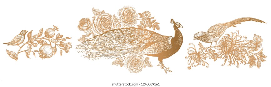 Decoration with birds and flowers. Realistic hand drawing isolated. Peacock and peonies, pheasant and chrysanthemums, nightingale and garnet. Vector illustration. Gold and white. Vintage engraving.