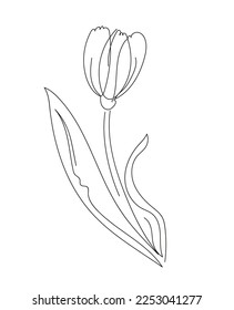  Decoration blossom botanical floral element. Vector doodle isilated illustration.