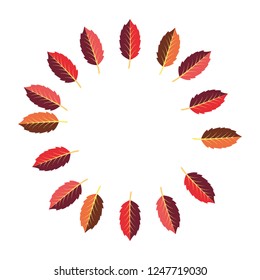 decoration circle types leaves background