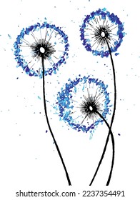 Decoration with dandelions flowers. Vector illustration. Botanical background.