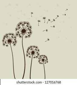 Decoration with dandelions. Vector