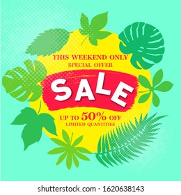 Decoration design. Discount poster. Big sale banner template. Decoration element. Beautiful background. Summer sale background template. Promotion banner design. Summer tropical leaf