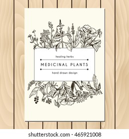 Decoration elements for design invitation, wedding cards, valentines day, greeting cards, organic shop. Hand drawn medicinal plants. 