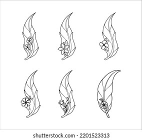 Decoration of Floral Feather Collection 