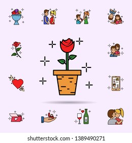 decoration, flower, plant, icon. Universal set of love story for website design and development, app development