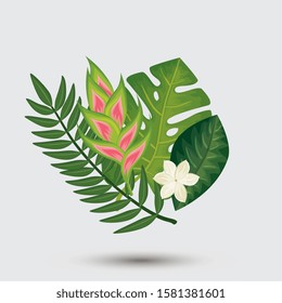 decoration of flowers with leafs tropicals nature vector illustration design