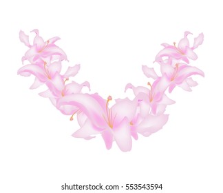 the decoration of flowers lily.vector