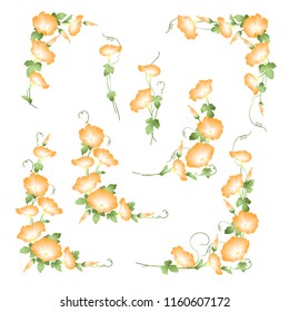 Decoration frame of the flower,